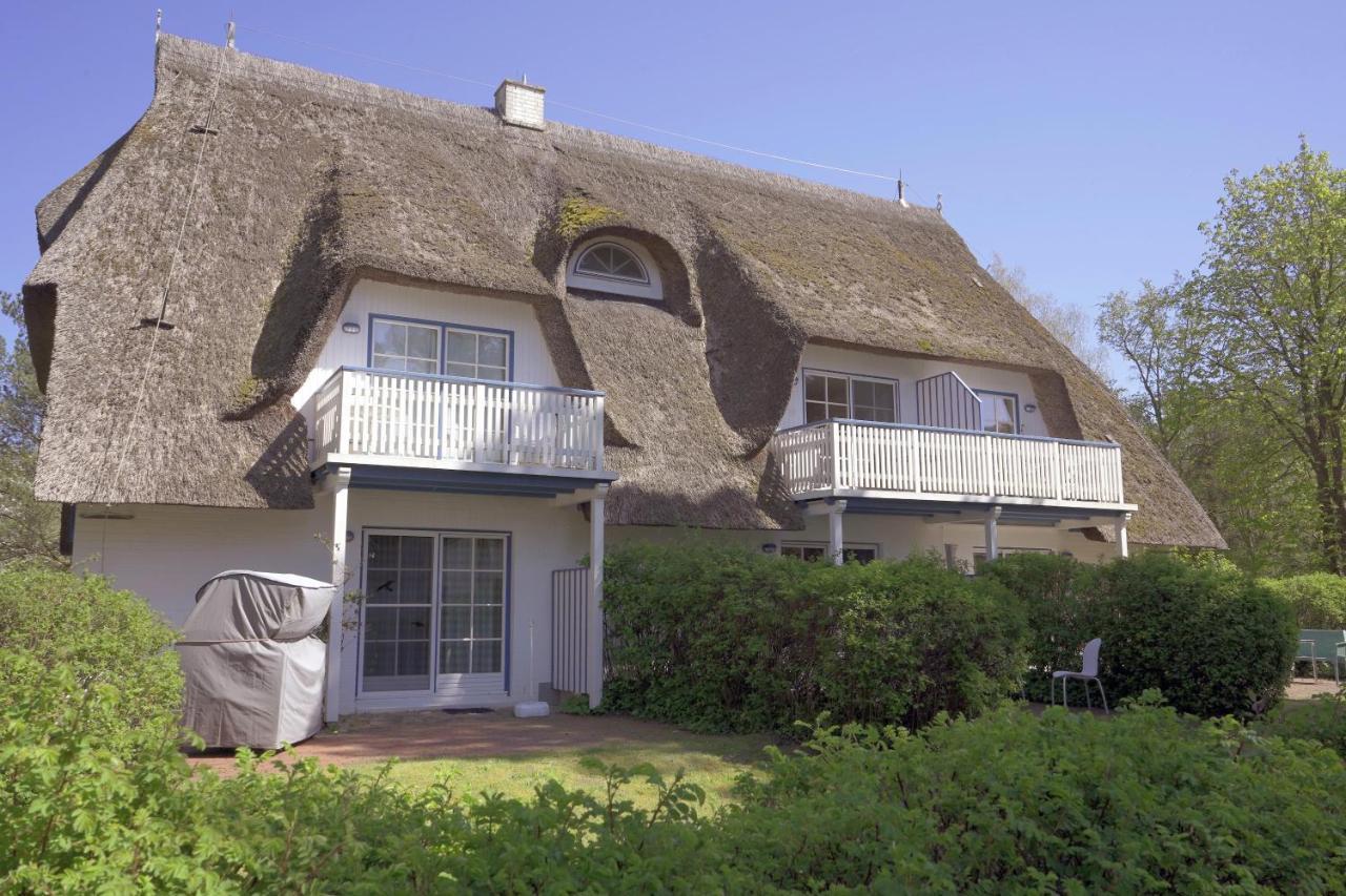 Achtern Diek 8A - Wohnung 5 Ostseeheilbad Ostseeheilbad Zingst Exterior foto